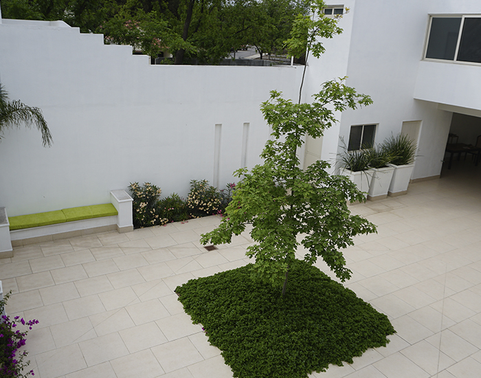 casa_suspiro12.jpg